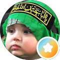 Morteza J