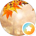 Mohamad M.h