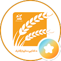 گندم خوراک سالم