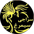 حمید سنائی