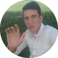 گل احمد
