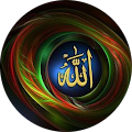 علی رضا صدفی