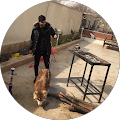 نیما یوسفی