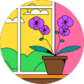 Rose Ab