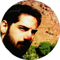 ali kamali