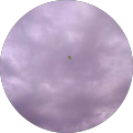 Cooper Id