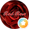 Red Rose “ گلفروشی آنلاین ‎” گلفروشی آنلاین