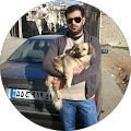 sajad reyhani