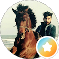 salar Damirchi