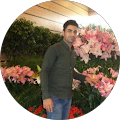 گردو بذغنی