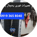 محمدرضا ازادی68 آزادی