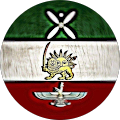 Amir Amir