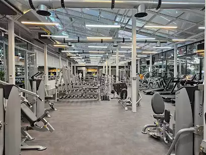 Alpha boxing gym / آکادمی بوکس آلفا