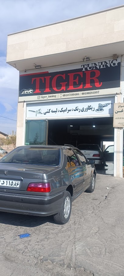 Tiger_tuning