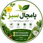 فروشگاه و کارگاه سبزیجات پامچال