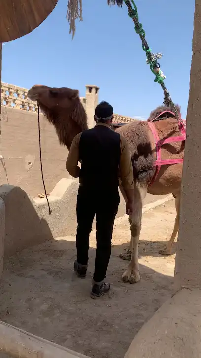 آسیاب شتر حنا