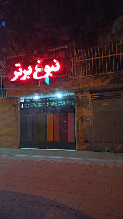 آمادگی و پیش دبستانی نبوغ برتر