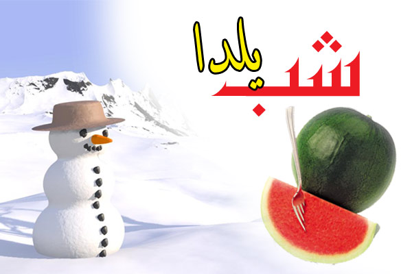 آژانس هواپیمایی گنبدهای فیروزه ای