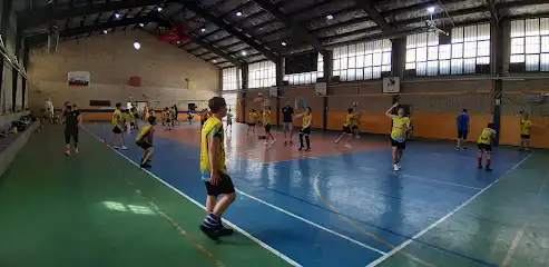 آکادمی والیبال ققنوس