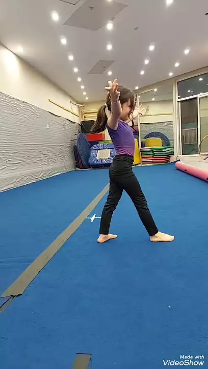 آکادمی ژیمناستیک رها
