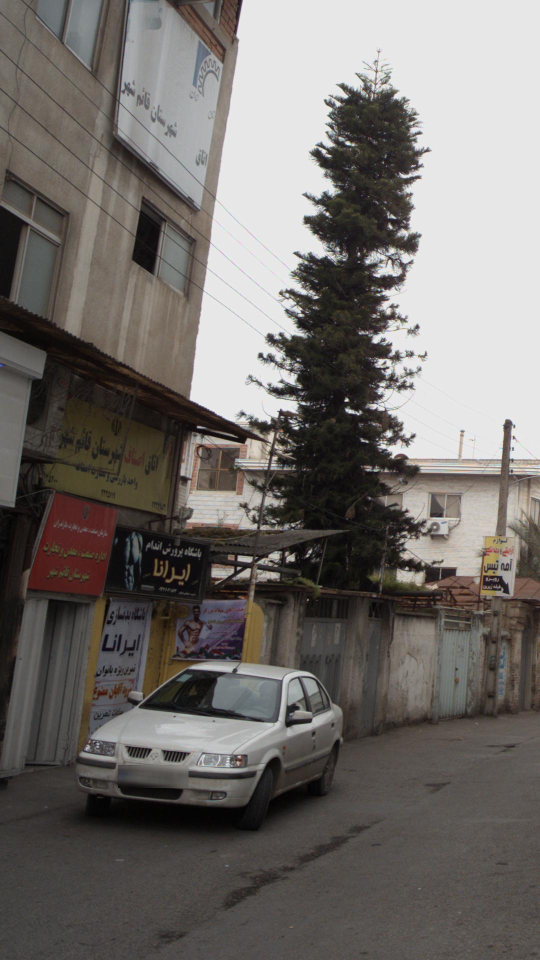 اتاق اصناف