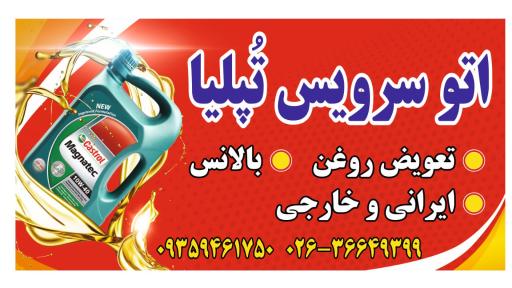اتو سرویس تُپلیا
