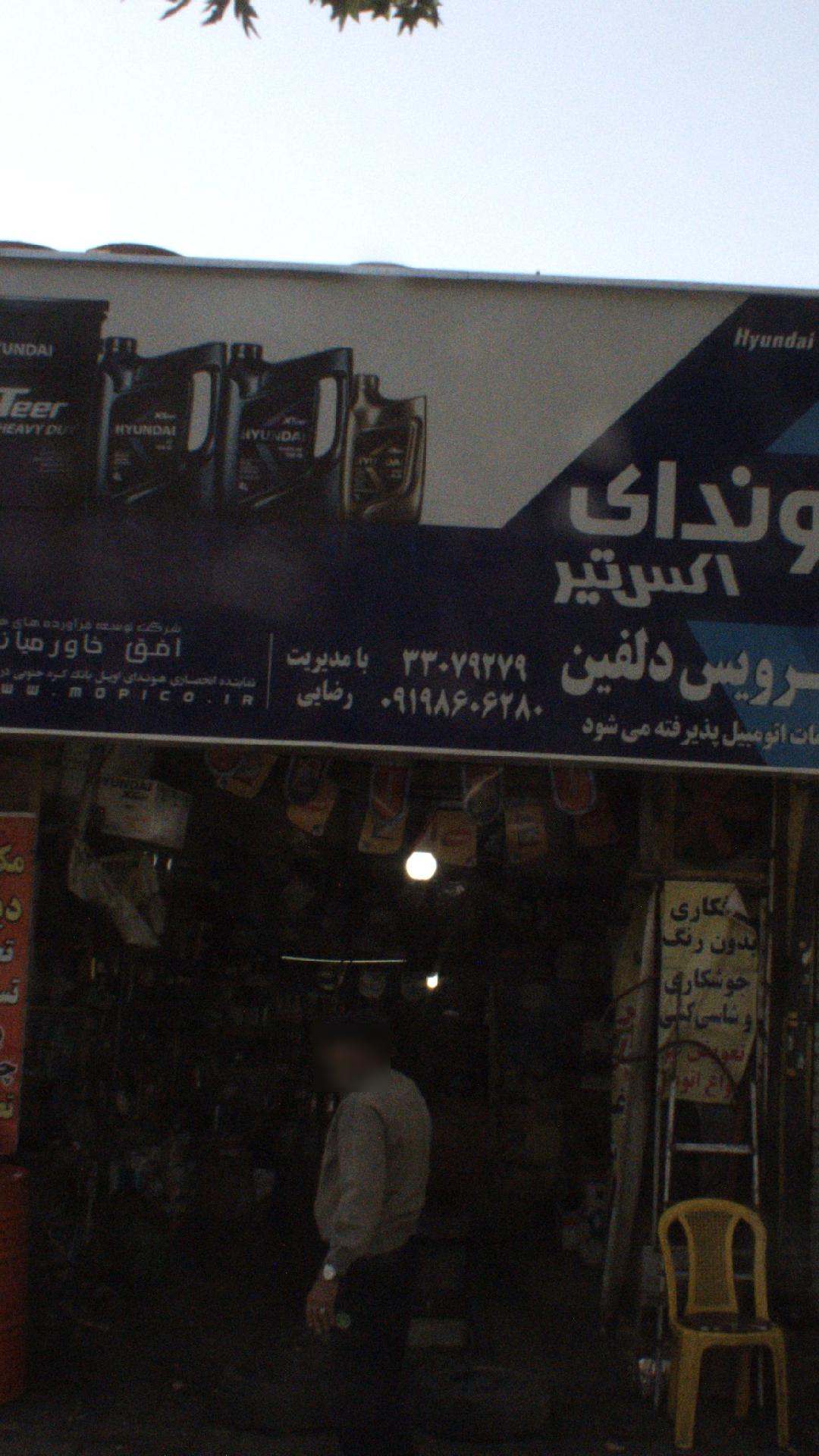 اتو سرویس دلفین