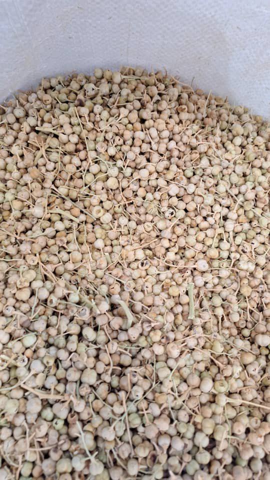 ادویه و داروخانه گیاهی داوه