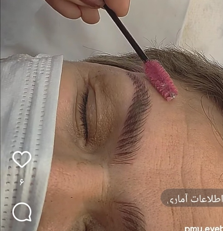آرایش دائم احمدی