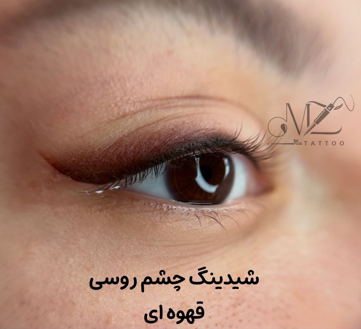 آرایش دائم،میکروپیگمنتیشن معصومه ذوالقدر