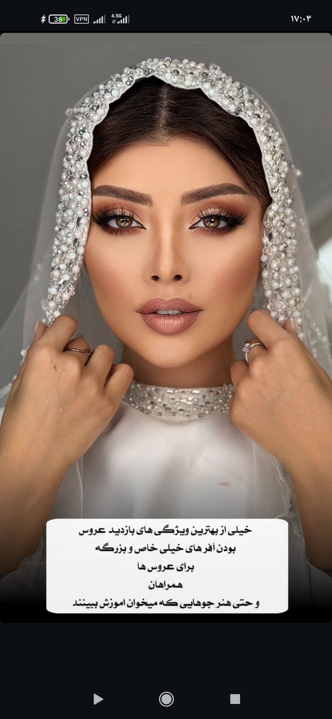 آرایشگر پروانه