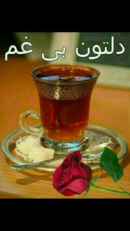 اشپزخانه خادم