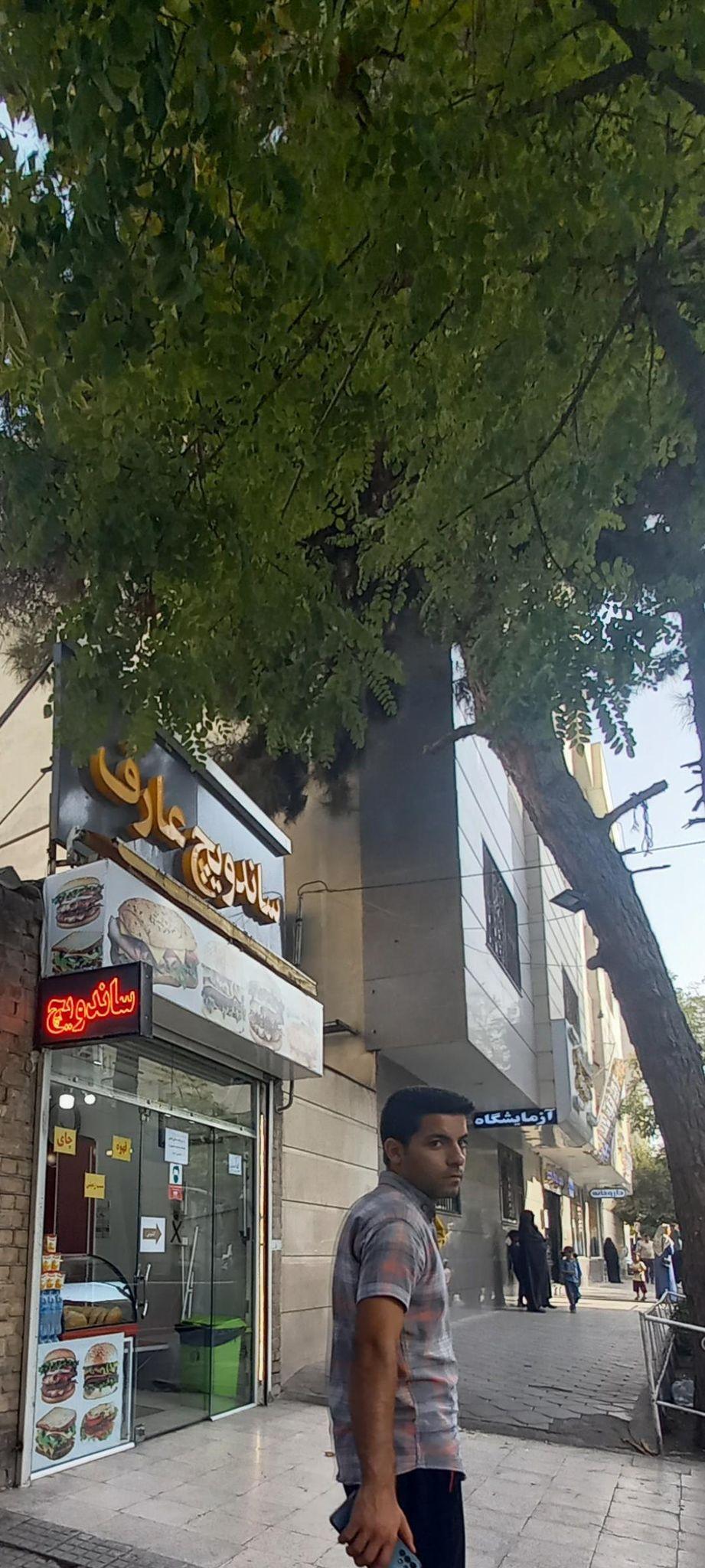 اغذیه عارف