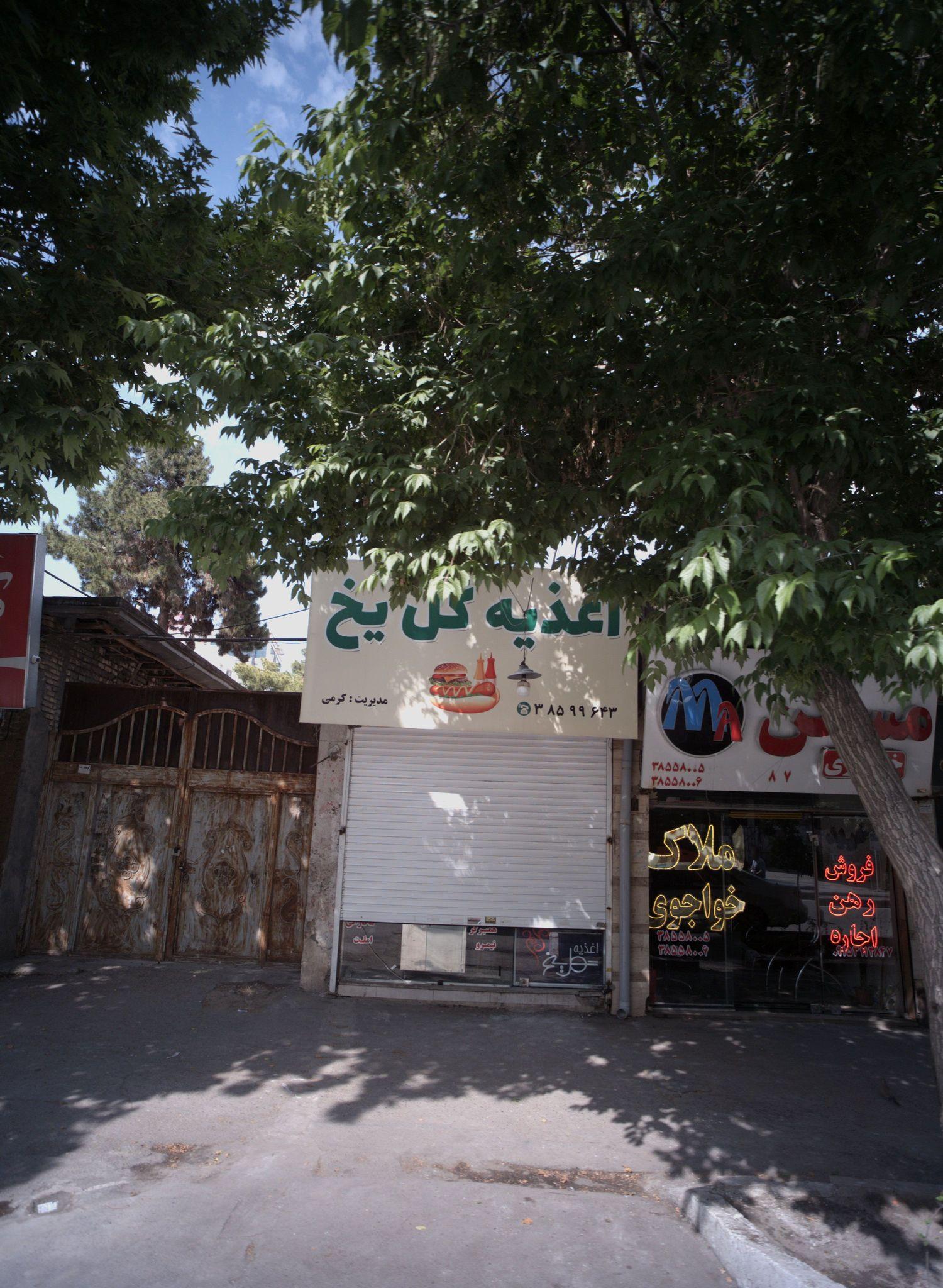 اغذیه گل یخ