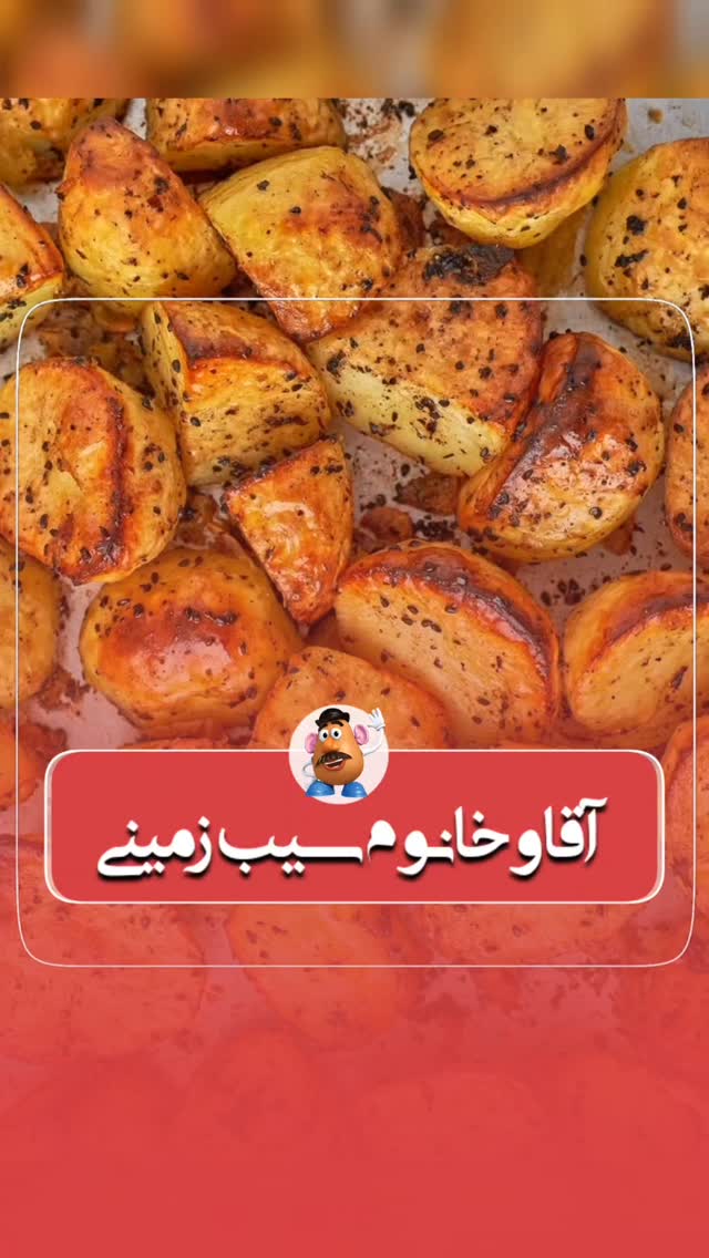 آقا و خانم سیب زمینی(بابل)