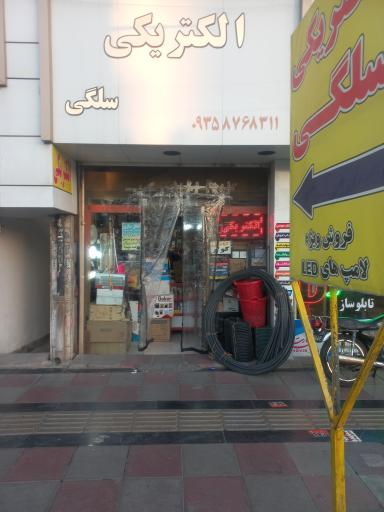 الکتریکی سلگی