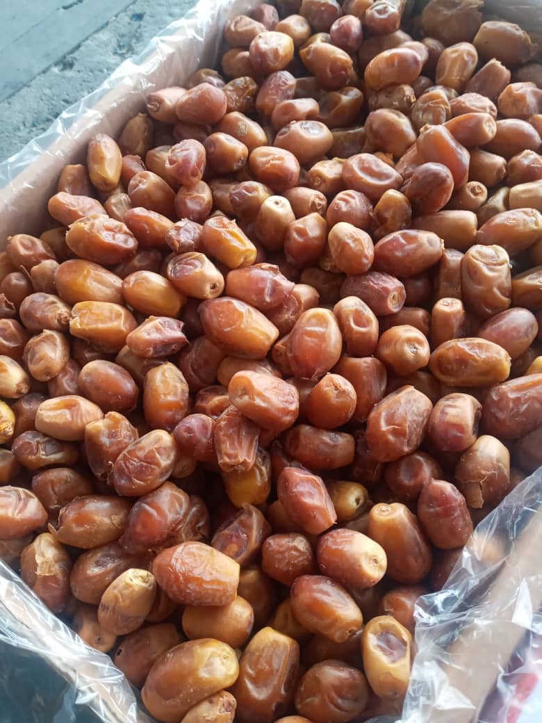 الیما تجارت