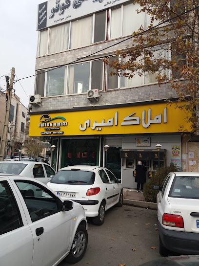 املاک امیری
