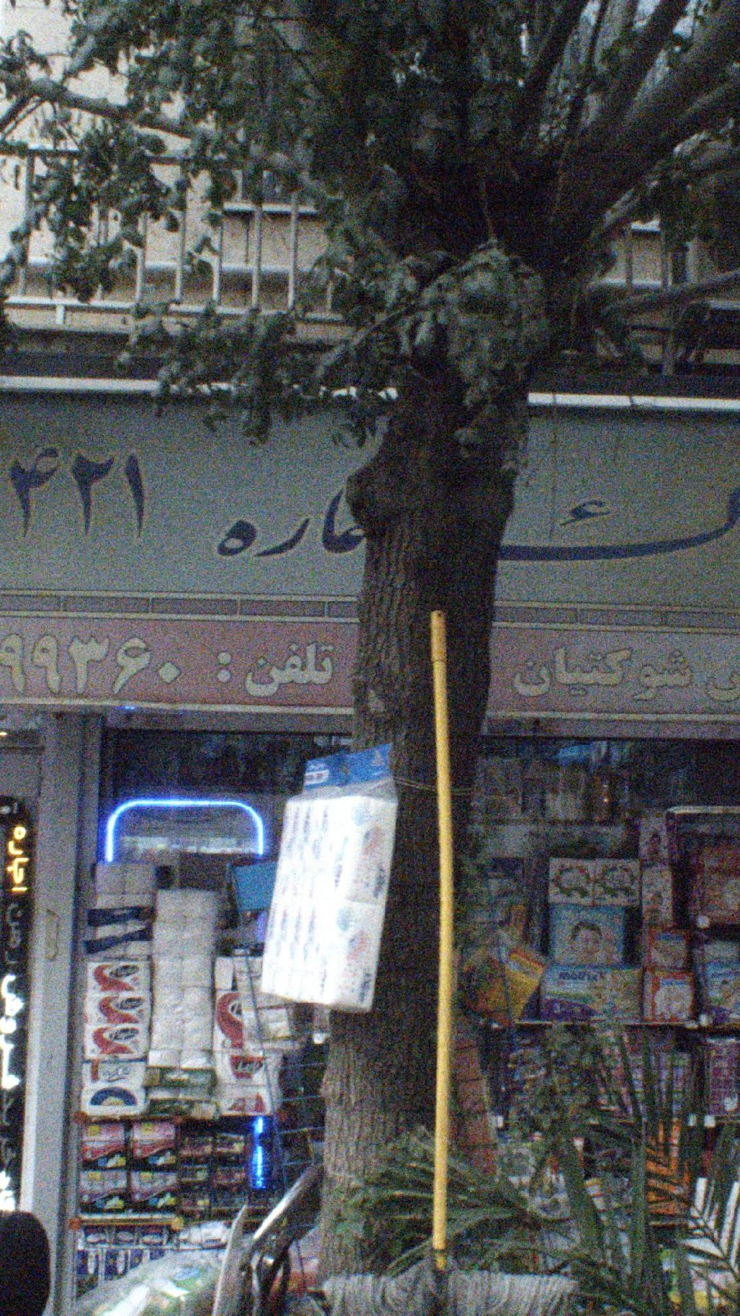 املاک بزرگ آلفا (شعبه 4)