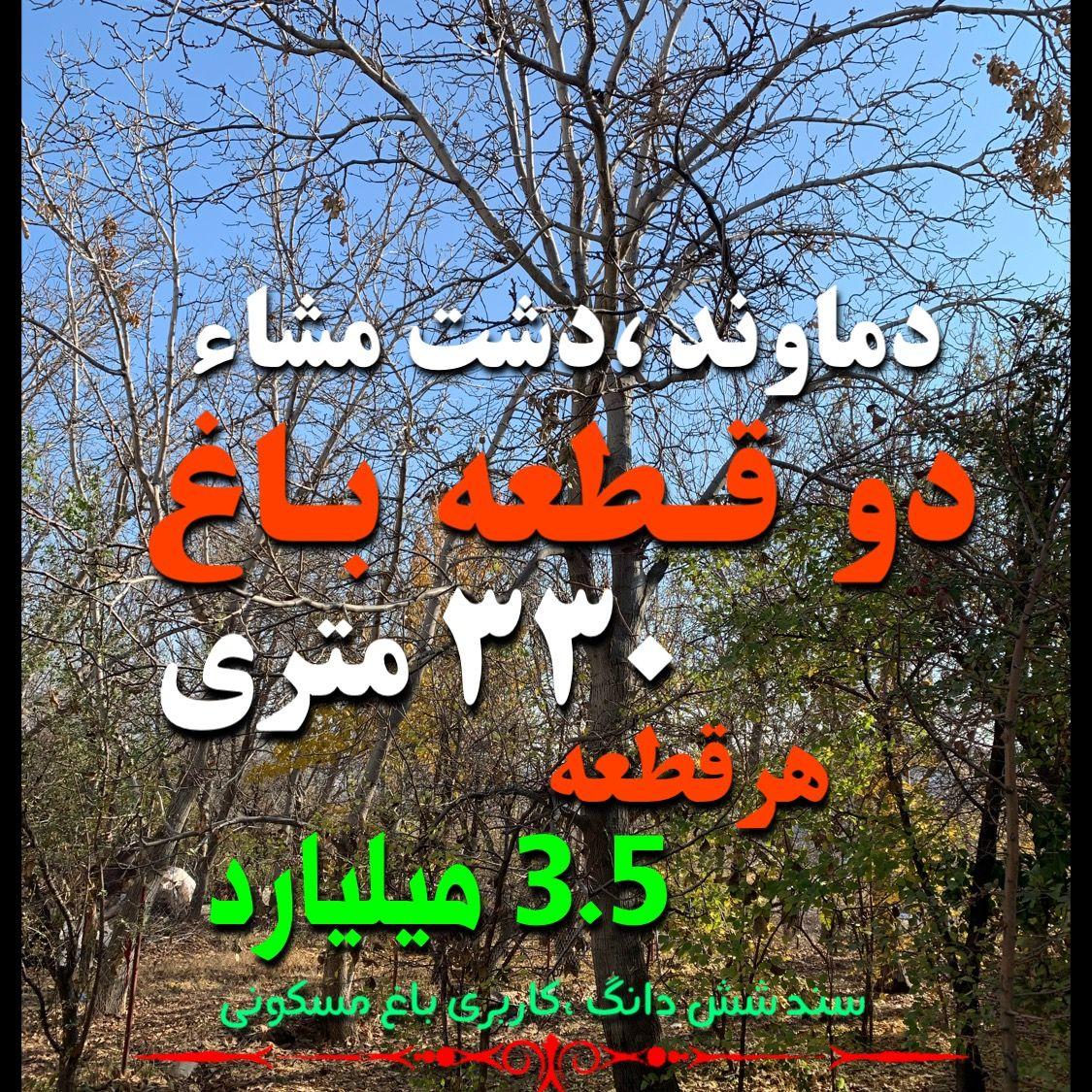 املاک مشاء