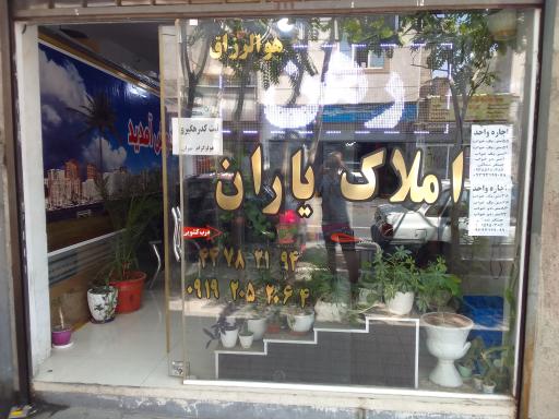 املاک یاران