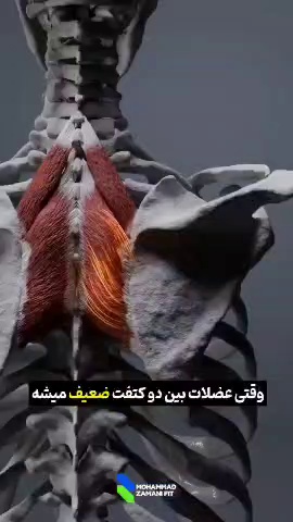 آموزش خصوصی و نیمه خصوصی بدنسازی راحله