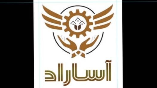 امیر رضا حسنی راد