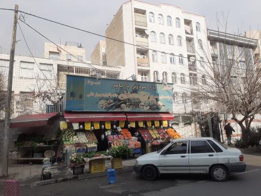 بازار میوه و تره بار پیامبر