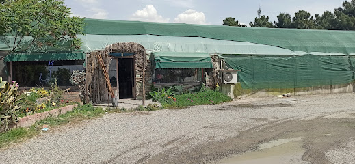 بازار گل و گیاه فکوری