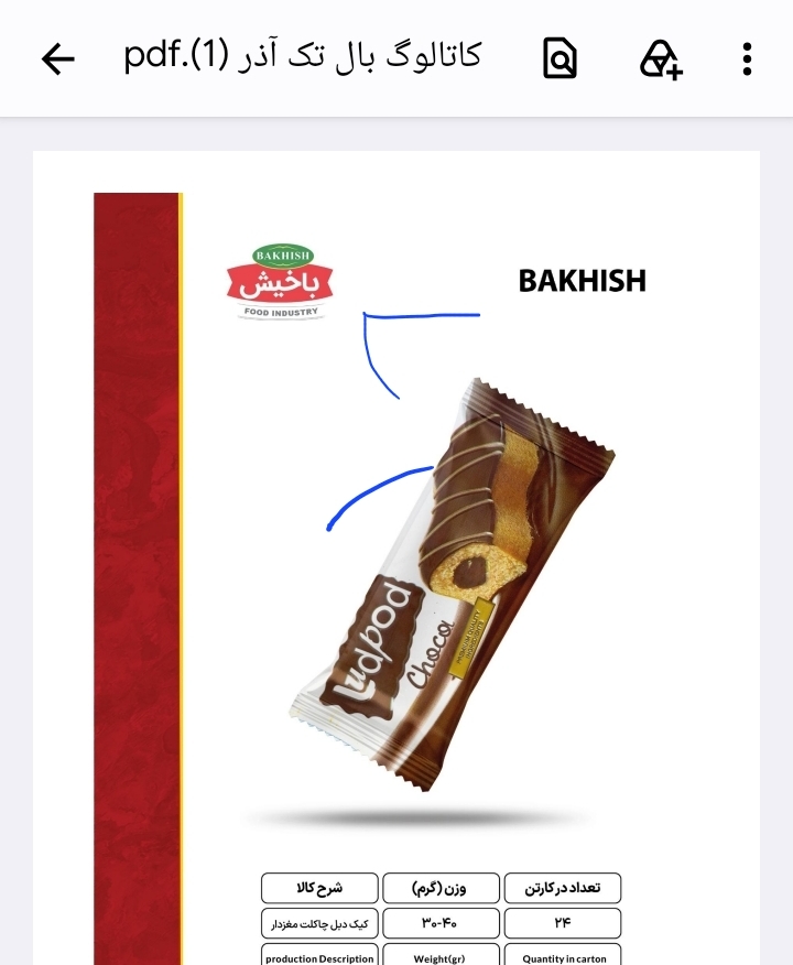 بازاریاب باخیش