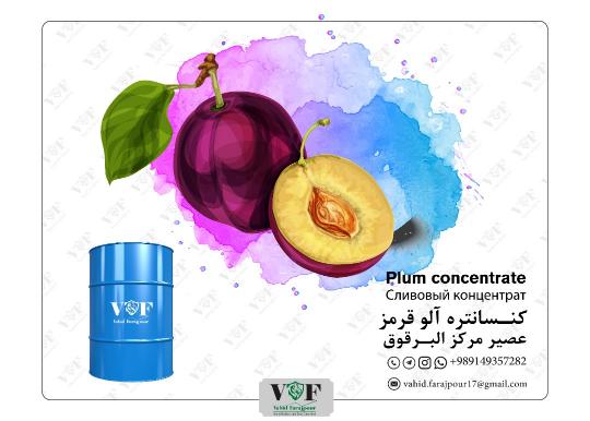 بازرگانی اروم شایستگان