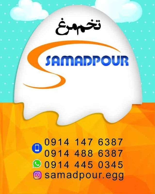 بازرگانی سی در