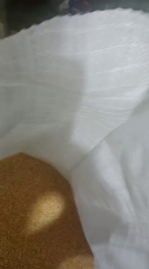 بازرگانی شهریاری (واردات ارزن)