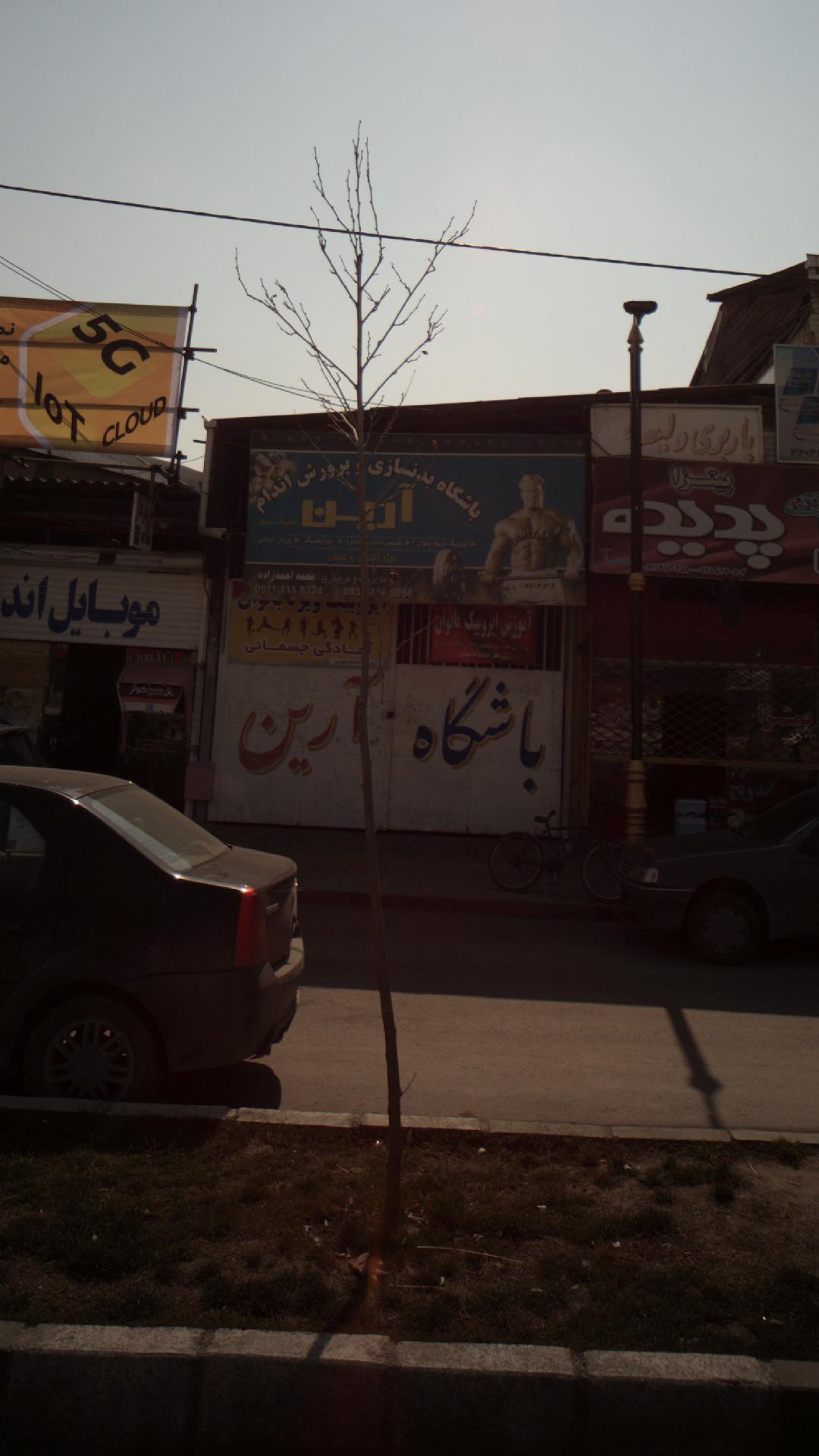 باشگاه آرین
